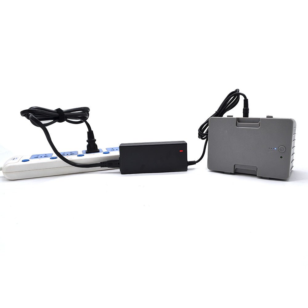 LionCooler 12.6V 3A Battery Charger, AC/DC Power Adapter - Tendora