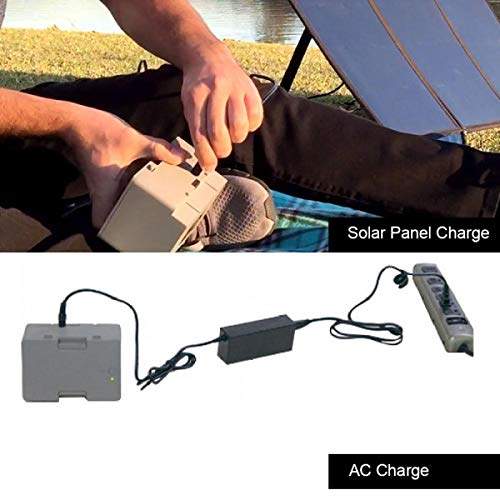 LionCooler 12.6V 3A Battery Charger, AC/DC Power Adapter - Tendora